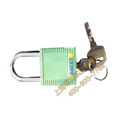  Process padlock (small, green) 95004